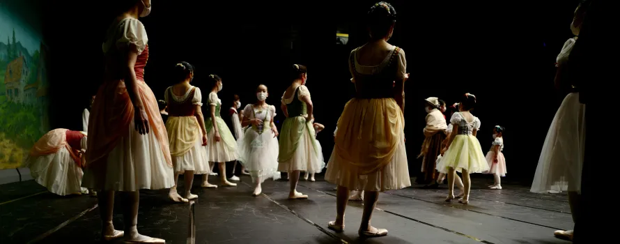 Houston Live Dance Performances Experience #11