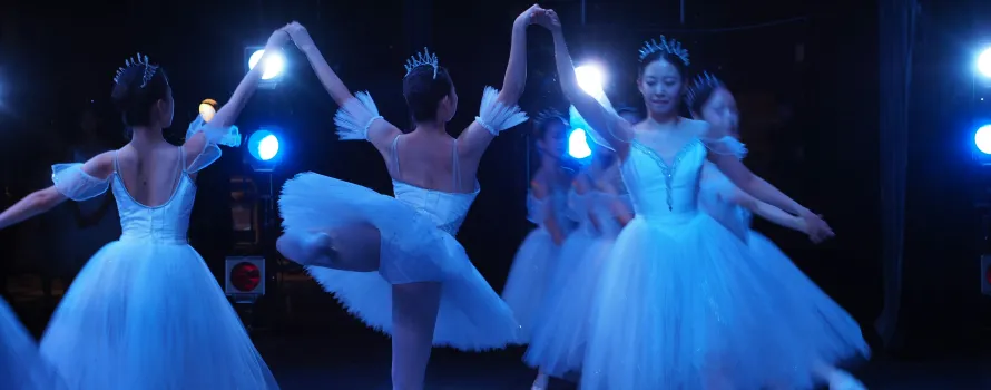 Chicago Live Dance Performances Experience #11