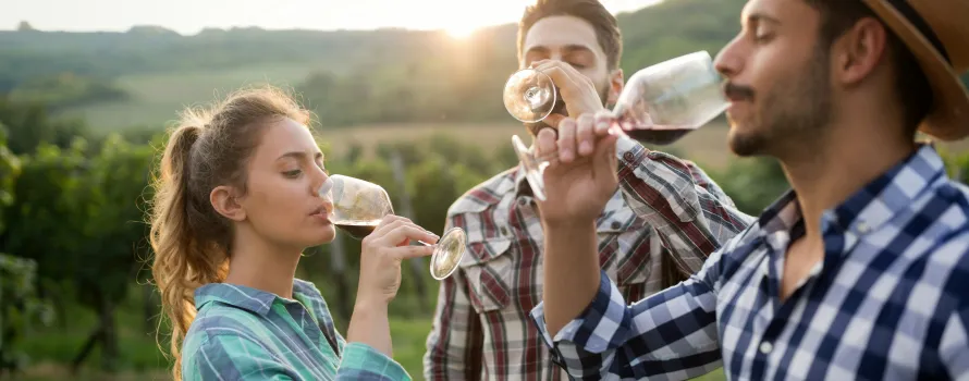 Phoenix Wine Tasting Showcase #02